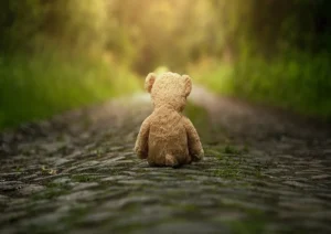 Teddy bear on dirt road
